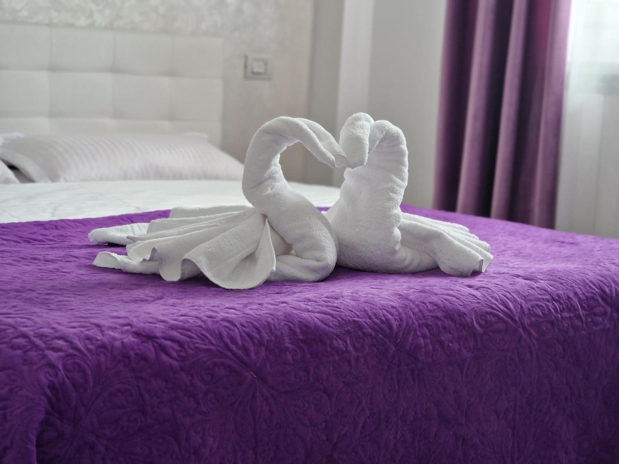 Apartament Rezidential Suceava Extérieur photo